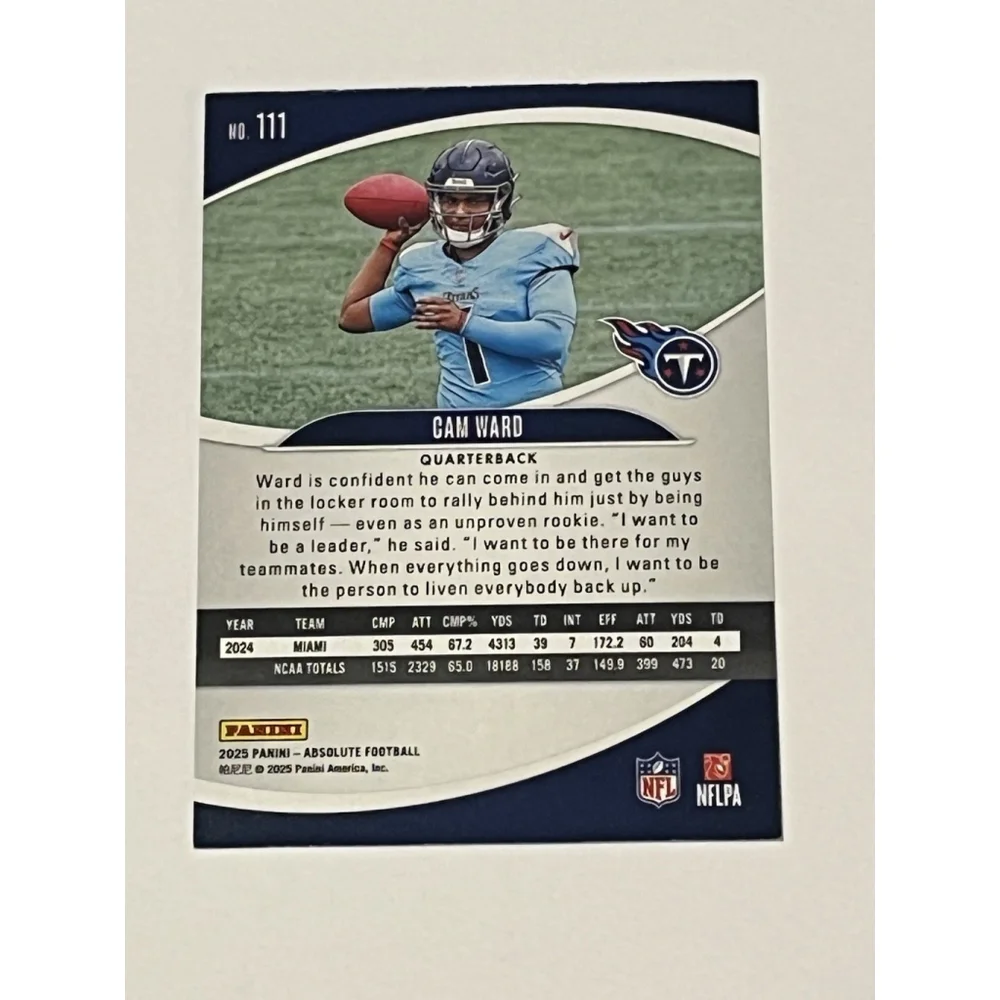 Panini this 2025